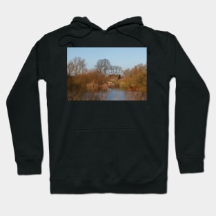 Germany; Bremen; Borgfeld; Wümme; Blockland; Landscape; Farmhouse; Eve; Evening light; winter Hoodie